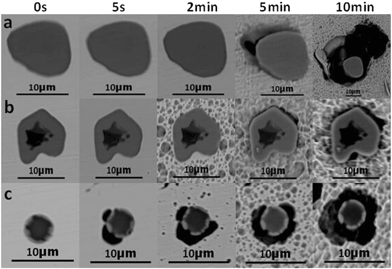 Microscopic pitting corrosion morphology on 304 stainless steel after immersion testing